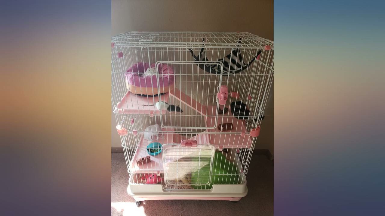 PawHut 2-Level Small Animal Cage Rabbit Hutch with Wheels, Removable Tray, Platform review