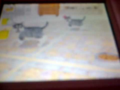 YouTube video about: Can you breed dogs on nintendogs?
