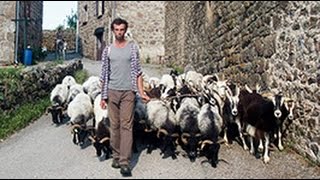 Le retour à la terre