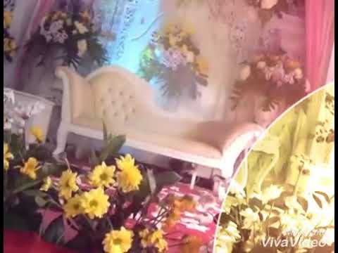 Tendo biru (mustmoel) didi kempot