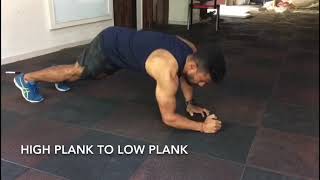 High Plank to Low Plank