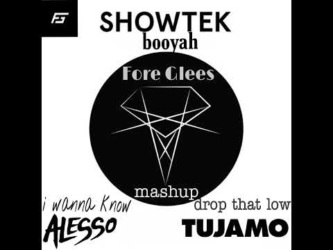 Showtek vs tujamo vs Alesso - booyah vs drop that low( Fore Glees mashup)