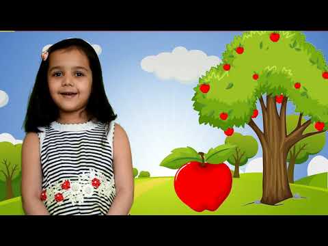Red Red Apple Hanging On The Tree | LKG RHYME | UKG RHYME