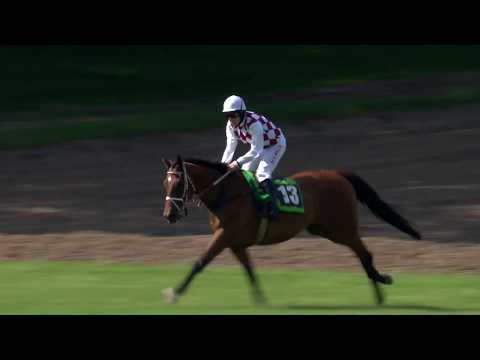 PE, 4. 7. 2020, 6. dostih - Cena města Pardubic – EURO EQUUS – I. kval. na 130. VP se Slavia pojišť.