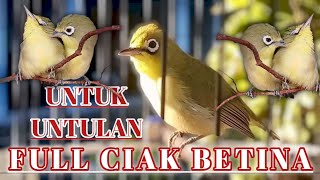 Download lagu PANCINGAN FULL SUARA CIAK CIAK BETINA ‼️AGAR KECIAL KUNING JANTAN CEPAT GACOR FULL MATERI DI LOMBA mp3 Download lagu PANCINGAN FULL SUARA CIAK CIAK BETINA ‼️AGAR KECIAL KUNING JANTAN CEPAT GACOR FULL MATERI DI LOMBA mp3