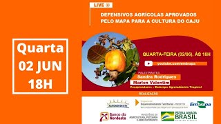 Miniatura do vídeo