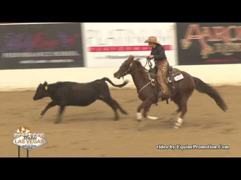 Shesa Smokin Cat ridden by Susan Schwabacher Modic  - 2017 NRCHA Stallion Stakes (Cow Work, NP)