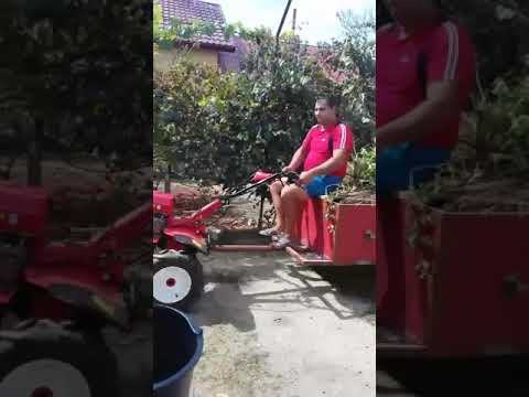 Asa se muncește la bratesti ph