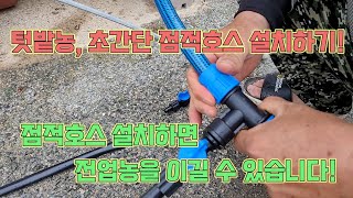 텃밭농이 전업농을 이기는 점적호스 설치법!! 간편한 설치로 농작물 대풍해보세요~
