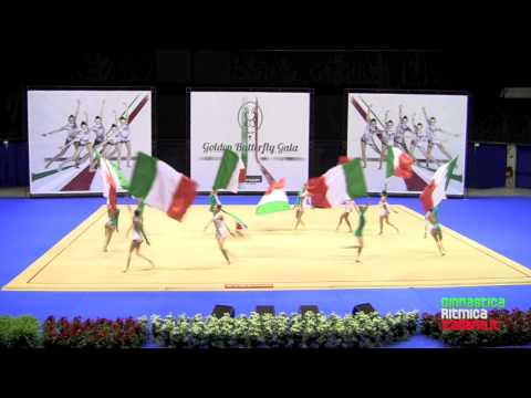 Golden Butterfly Gala 2011 - Bandiere