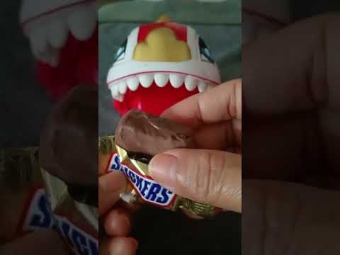 ASMR LION DENTIST EATING SNICKERS CHOCOLATE #yummy #asmr #youtubeshorts #viralvideo #shorts