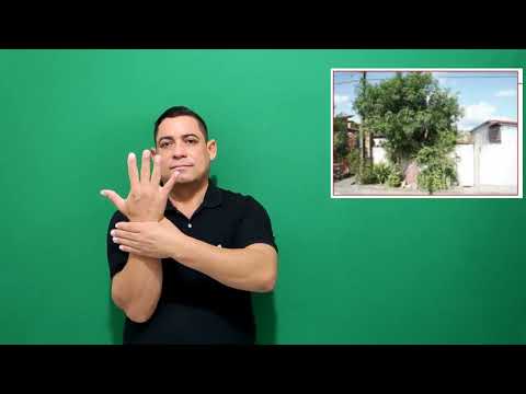 Miniatura do vídeo: Terreiro 034