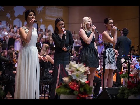 The bird and the child (L'oiseau et l'enfant) - standing ovation