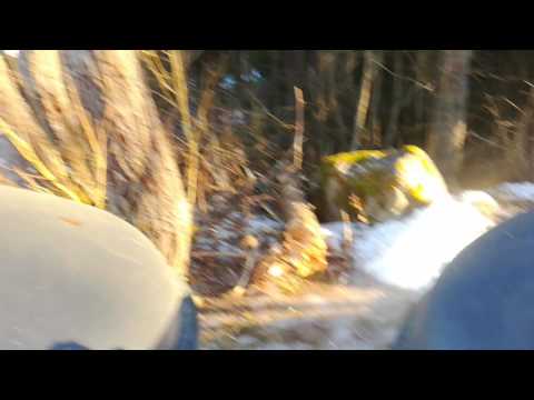 Pikkusen jalotteleen