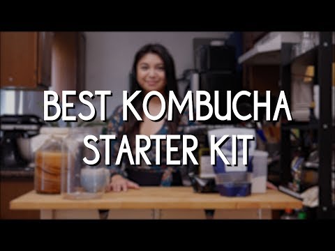 download lagu mp3 mp4 Kombucha Home Brew Kit Australia, download lagu Kombucha Home Brew Kit Australia gratis, unduh video klip Kombucha Home Brew Kit Australia