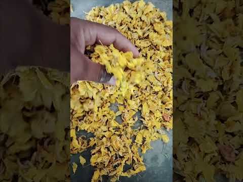 Dried cassia auriculate aavaram poo tarwar phool/avaram pusp...