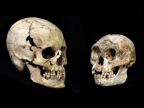 Kim byli ludzie o małych mózgach? Łukasz Kwiatek