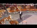 Circus