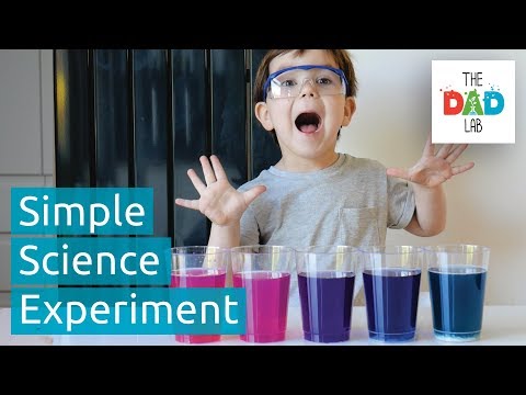 Science at Home: Red Cabbage Changing Colours (pH Indicator)
