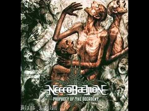 Necrodaemon - Prophecy Of The Decadent