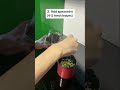 (How to Make) Spearmint Tea for Acne #acne #shorts