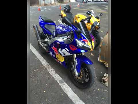 DLS feat cultcha shoc & Kenetic 9