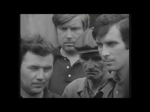 'Przyjęcie na dziesięć osób plus trzy'  - fragment