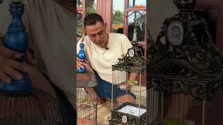 Download lagu Perbedaan Buxtoni Gunkar Original & Buxtoni Biasa#BuxtoLovers #PCMIJAKAS mp3