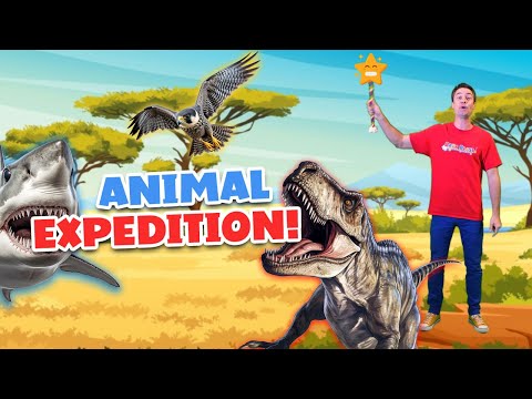 Animal Videos for Kids: 50 Minutes of Fun!| Educational Videos for Kids | Baba Blast
