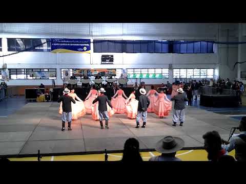 CTG Alma Crioula - Invernada Adulta Regional do Enart 2016 .