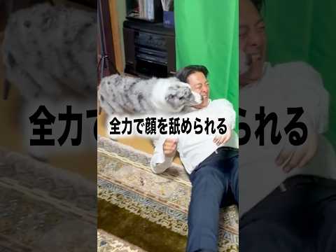 2026年7月12日
