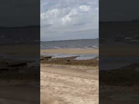 Playa El Ensueño, Colonia #shorts #уругвай #uruguay #playa #пляж #отдых 😍 #beach