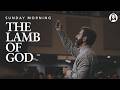 The Lamb of God | John 1:36-38 | Pastor Michael Koulianos | Sunday Morning Service | August 23rd