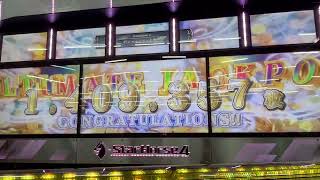 スタホ４　発動馬記録　ブライドジョーカー＃戦24.24.26戦目