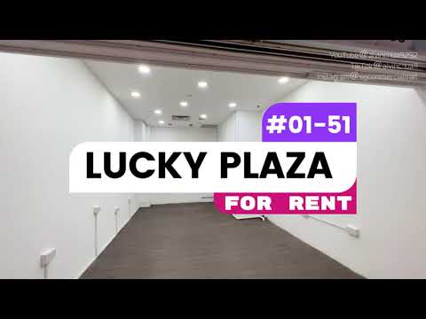 Lucky Plaza, 304 Orchard Road, Orchard / River Valley, 215 sqft, Mall Shop For Rent, by Alvin Chua, 500268844 - CommercialGuru.com.sg