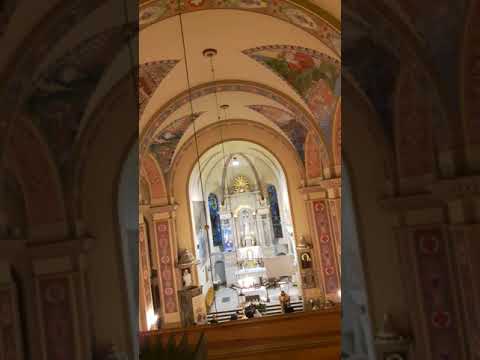 Video 20171015202003739 by videoshow