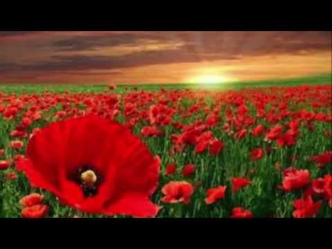 Ben Grunnell - Macau Dub (Original Mix)