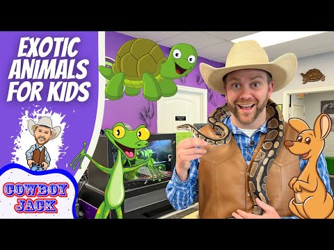 Host in a cowboy hat wearing a brown vest holds a snake, with cartoon animals (turtle, frog, kangaroo) and a purple banner that reads 'EXOTIC ANIMALS FOR KIDS' and 'COWBOY JACK' in the corner—thumbnailed for a kids' animal video.