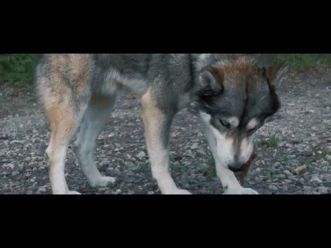 That Boy Drew - Dues Ft. Trill Will