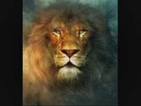 ZEBDA L'ERREUR EST HUMAINE