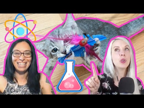 The Science of Cat Behavior!