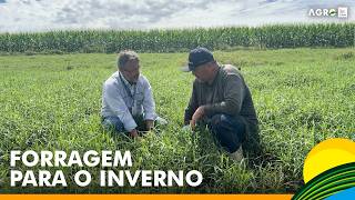 Miniatura do vídeo