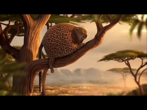 Funny FAT Animals || Animated Short Films by Rollin' Wild || Animal Cartoon ||