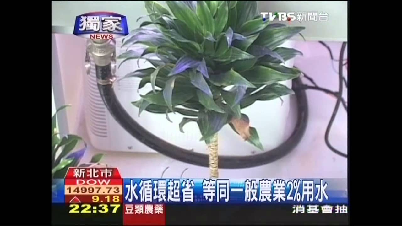 〈獨家〉植物工廠夯爆 設備商拚營收倍增