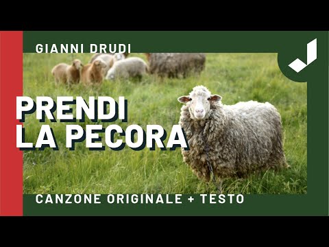 Gianni Drudi - Prendi la Pecora (Brano Originale)