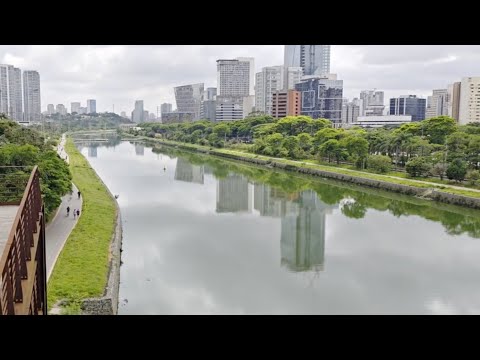 Explore the entire Pinheiros River bike path in São Paulo on a 70km ride.