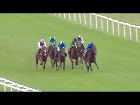 NAZEEF 2020 Tattersalls Falmouth Stakes G1 Newmarket