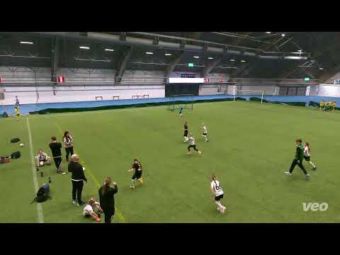 TPS T2016 T2017 vs SJK