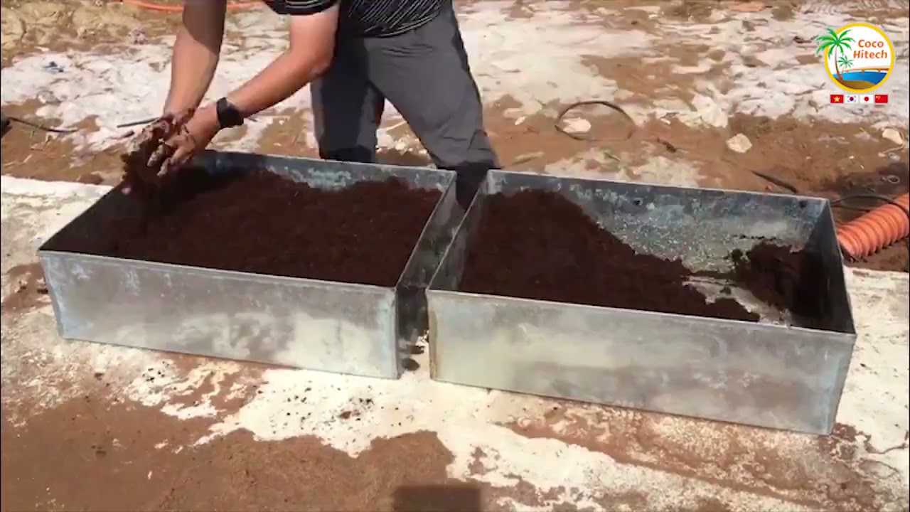 Cocopeat Vietnam | Coco Hitech JSC