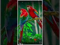 Whatsappstatus Tamil Karthik Pen Kiliye Pen Kiliye Song What S App Status Tamil